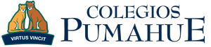 Colegio Pumahue